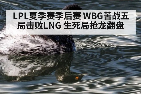 LPL夏季赛季后赛 WBG苦战五局击败LNG 生死局抢龙翻盘