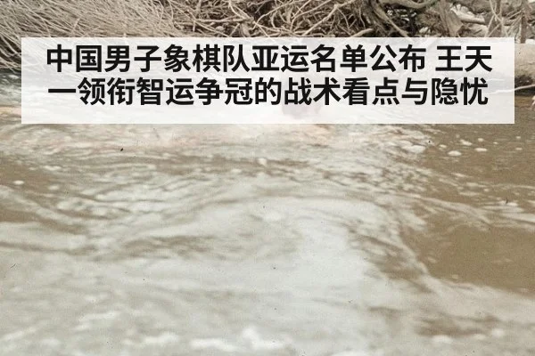 中国男子象棋队亚运名单公布 王天一领衔智运争冠的战术看点与隐忧